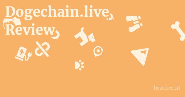 Dogechain.live Review 1 by BestFREE.nl