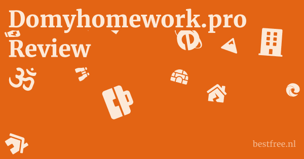 Domyhomework.pro Review 1 by BestFREE.nl