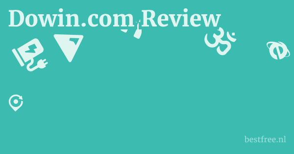 Dowin.com Review 1 by BestFREE.nl