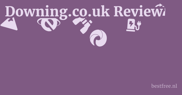 Downing.co.uk Review 1 by BestFREE.nl