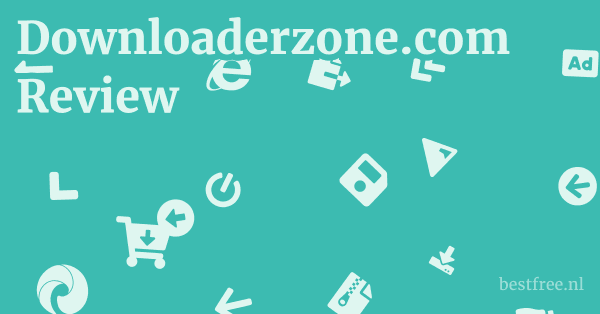 Downloaderzone.com Review 1 by BestFREE.nl