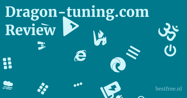 Dragon-tuning.com Review 1 by BestFREE.nl