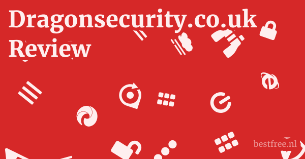 Dragonsecurity.co.uk Review 1 by BestFREE.nl