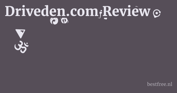 Driveden.com Review 1 by BestFREE.nl