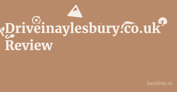 Driveinaylesbury.co.uk Review 1 by BestFREE.nl