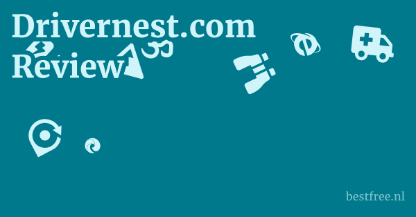 Drivernest.com Review 1 by BestFREE.nl