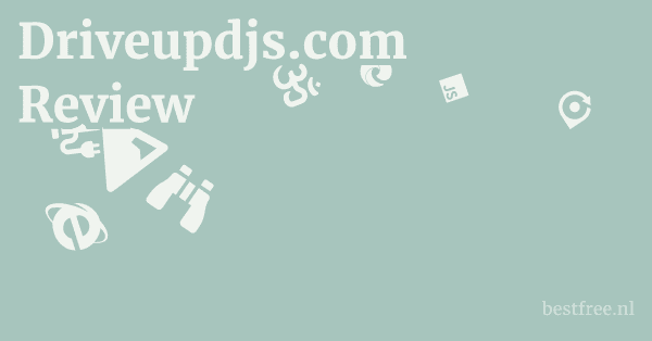 Driveupdjs.com Review 1 by BestFREE.nl