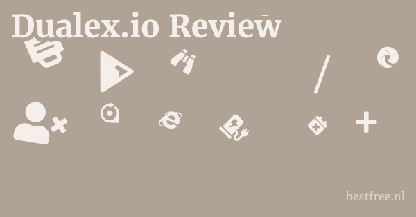 Dualex.io Review 1 by BestFREE.nl