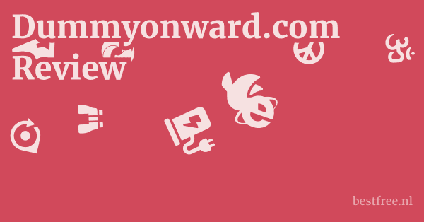 Dummyonward.com Review 1 by BestFREE.nl