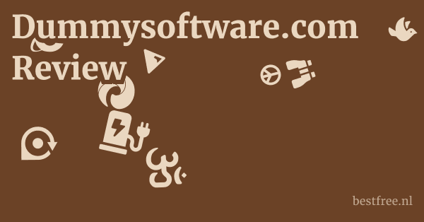 Dummysoftware.com Review 1 by BestFREE.nl