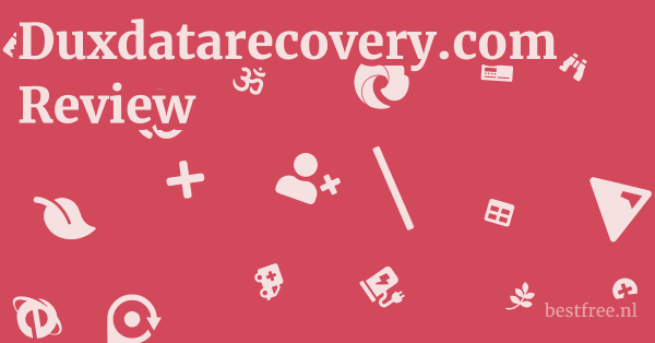 Duxdatarecovery.com Review 1 by BestFREE.nl