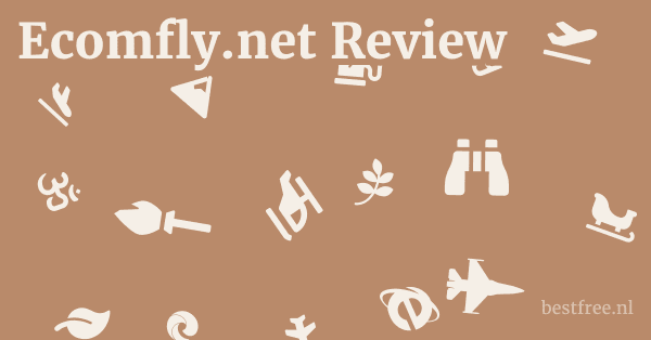 Ecomfly.net vs. Other E-commerce Automation Models: A Comparative Analysis 1 by BestFREE.nl