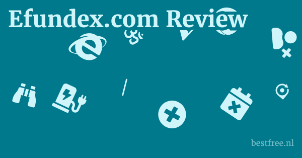 Efundex.com Review 1 by BestFREE.nl