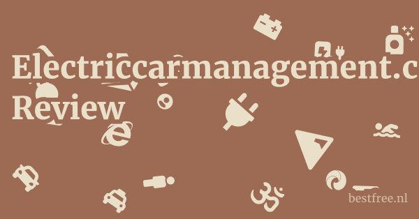 Electriccarmanagement.com Review 1 by BestFREE.nl
