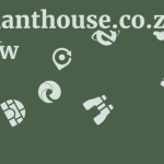 Elephanthouse.co.za Review 5 by BestFREE.nl