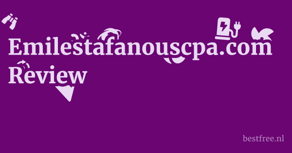Emilestafanouscpa.com Review 1 by BestFREE.nl