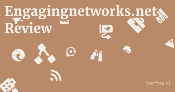 Engagingnetworks.net Review 1 by BestFREE.nl