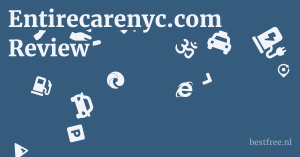 Entirecarenyc.com Review 1 by BestFREE.nl