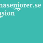 Erfarnaseniorer.se Recension 3 by BestFREE.nl