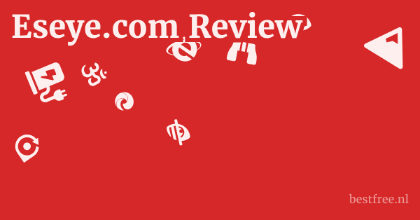 Eseye.com Review 1 by BestFREE.nl