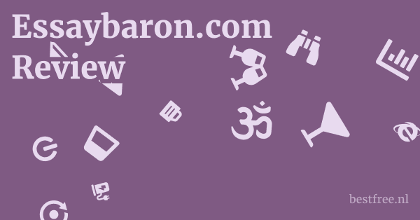Essaybaron.com Review 1 by BestFREE.nl