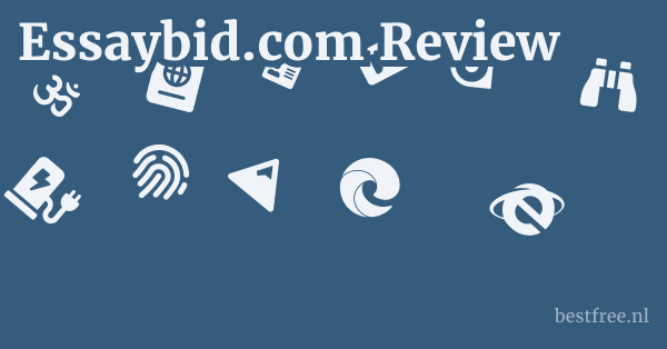 Essaybid.com Review 1 by BestFREE.nl