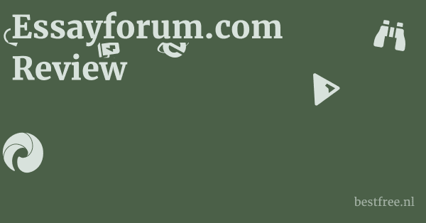 Essayforum.com Review 1 by BestFREE.nl