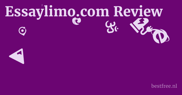 Essaylimo.com Review 1 by BestFREE.nl