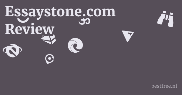 Essaystone.com Review 1 by BestFREE.nl