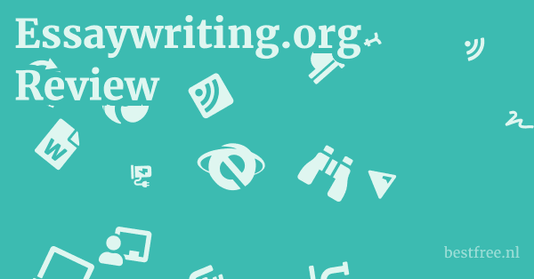 Essaywriting.org Review 1 by BestFREE.nl