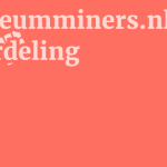 Ethereumminers.nl Beoordeling 19 by BestFREE.nl