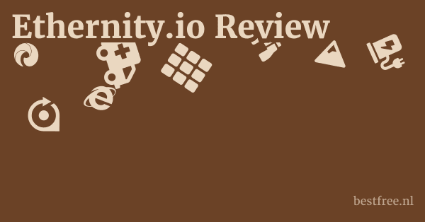 Ethernity.io Review 1 by BestFREE.nl