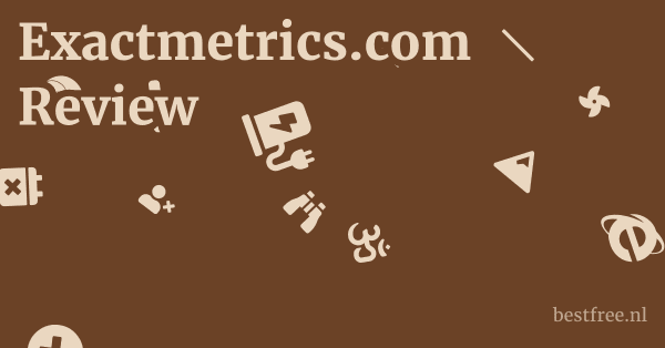 Exactmetrics.com Review 1 by BestFREE.nl