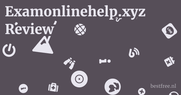 Examonlinehelp.xyz Review 1 by BestFREE.nl