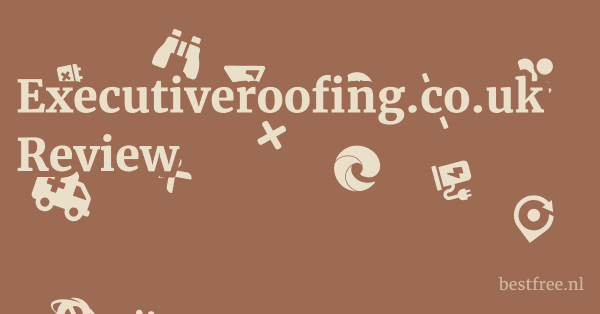 Executiveroofing.co.uk Review 1 by BestFREE.nl