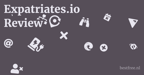 Expatriates.io Review 1 by BestFREE.nl