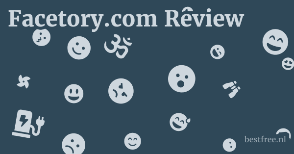 Facetory.com Review 1 by BestFREE.nl
