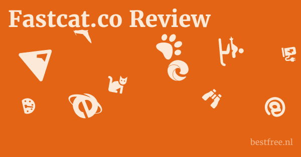 Fastcat.co Review 1 by BestFREE.nl