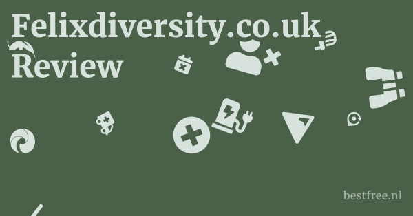 Felixdiversity.co.uk Review 1 by BestFREE.nl