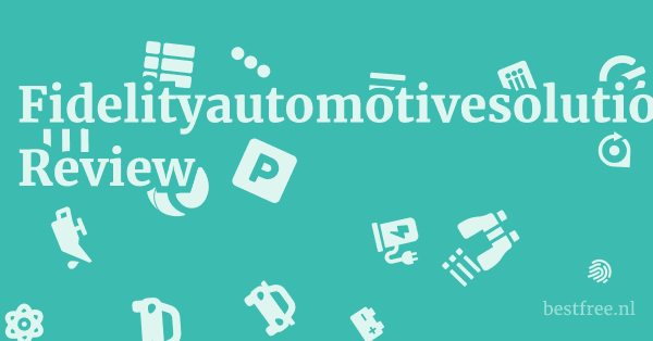 Fidelityautomotivesolutions.com Review 1 by BestFREE.nl