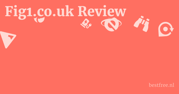 Fig1.co.uk Review 1 by BestFREE.nl