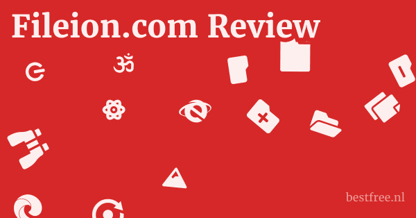 Fileion.com Review 1 by BestFREE.nl
