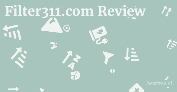 Filter311.com Review 1 by BestFREE.nl