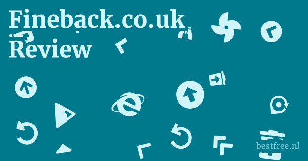 Fineback.co.uk Review 1 by BestFREE.nl