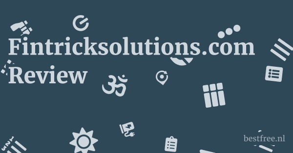 Fintricksolutions.com Review 1 by BestFREE.nl
