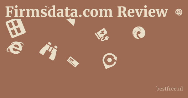 Firmsdata.com Review 1 by BestFREE.nl
