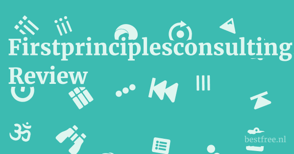 Firstprinciplesconsulting.com Review 1 by BestFREE.nl