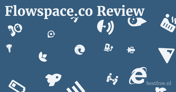 Flowspace.co Review 1 by BestFREE.nl