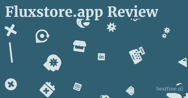 Fluxstore.app Review 1 by BestFREE.nl