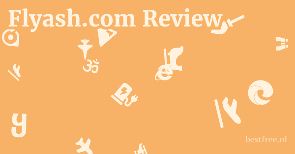 Flyash.com Review 1 by BestFREE.nl